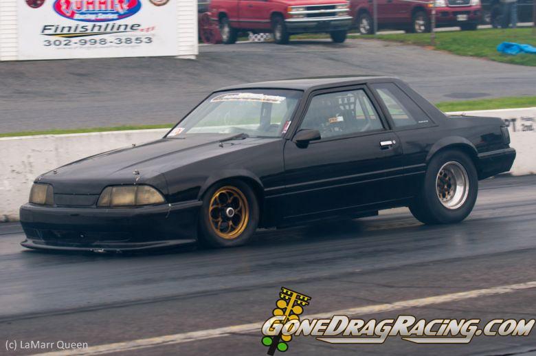 cecil1012011-492.jpg