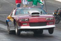 cecil1012011-341.jpg