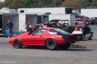 cecil1012011-355.jpg