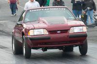 cecil1012011-370.jpg