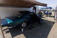 IMG_1381.jpg