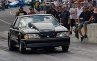 IMG_1645.jpg