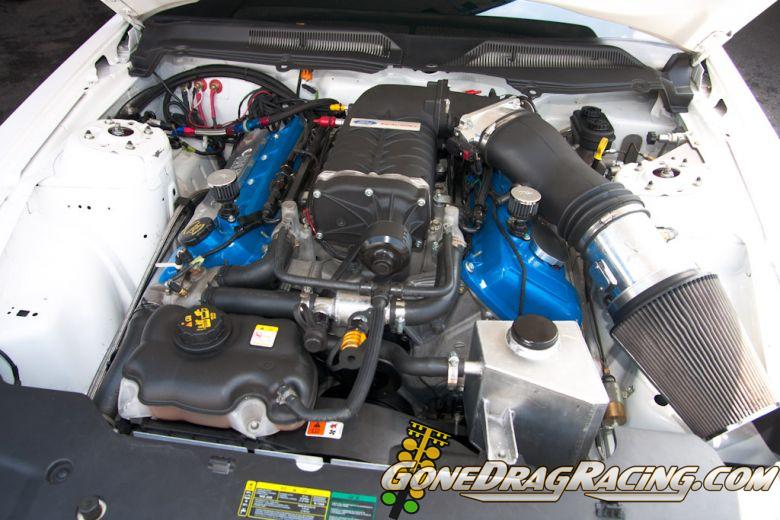 ADRL_Maple_Grove_2012-204.jpg