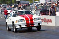 IMG_9949.jpg
