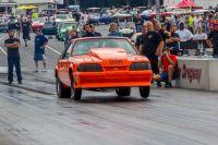IMG_2875.jpg