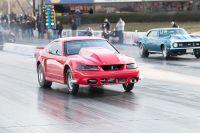 IMG_2600.jpg