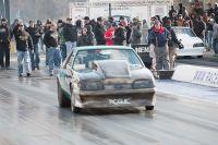 IMG_2617.jpg