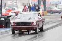 IMG_2984.jpg