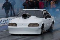 IMG_3133.jpg