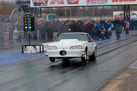 IMG_3180.jpg