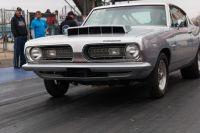IMG_3781.jpg