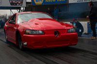 IMG_3973.jpg