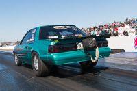 IMG_4266.jpg