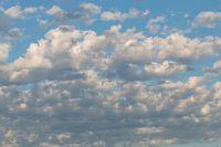 IMG_4363.jpg