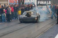 IMG_4399.jpg