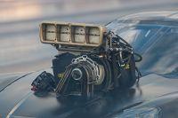 IMG_4402.jpg