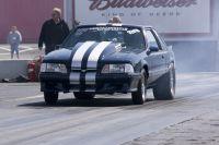 processed-_MG_7975.jpg