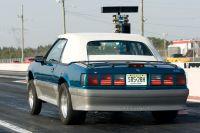 processed__MG_8101.jpg