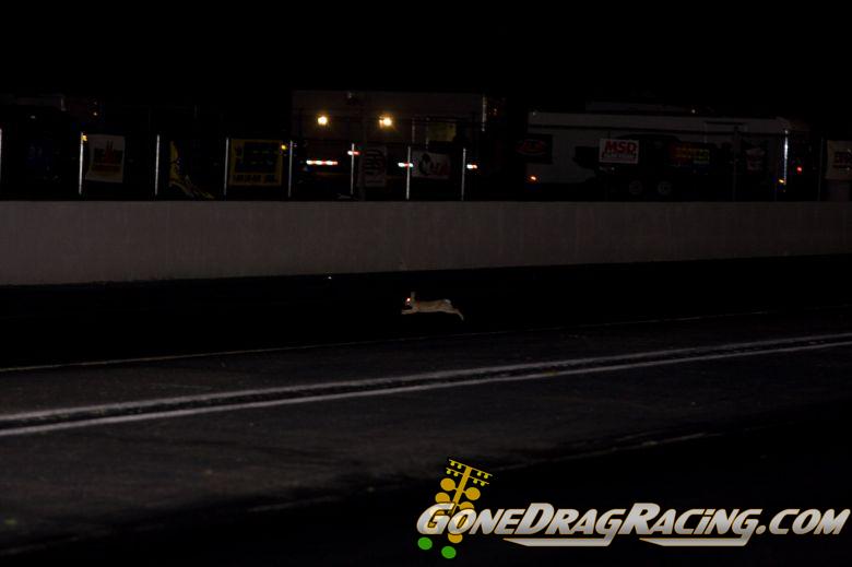 Keywords: Drag Racing Atco 10.0 12.0 Index