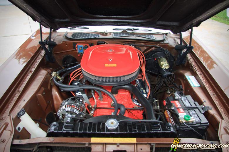 july2009_walthaas-014.jpg
