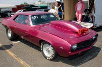 pinks07262008-0059.jpg