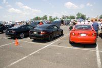 pinks07262008-0082.jpg