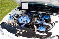 gmnats2009-087.jpg