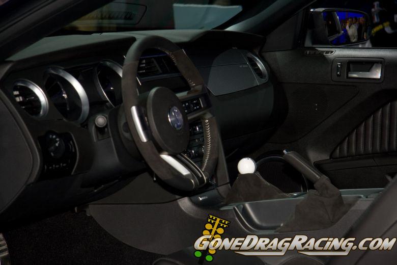 naias2009-0022.jpg