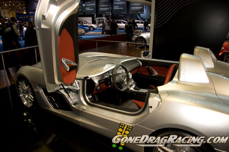 naias2009-0133.jpg