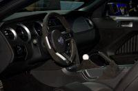 naias2009-0022.jpg