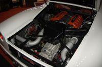 naias2009-0060.jpg
