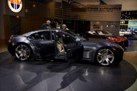 naias2009-0066.jpg