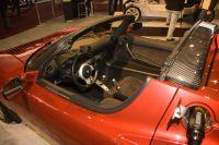 naias2009-0073.jpg