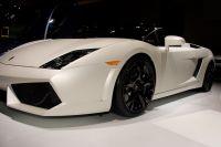 naias2009-0107.jpg