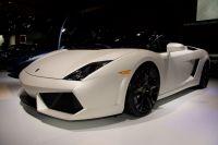 naias2009-0108.jpg