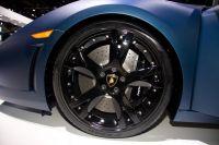 naias2009-0109.jpg