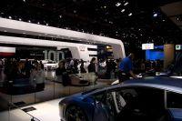 naias2009-0117.jpg