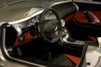 naias2009-0134.jpg