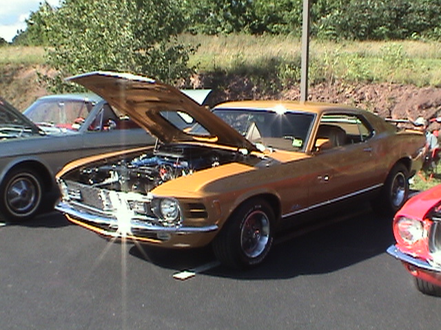 DSC03843.JPG