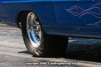 IMG_6106a.jpg